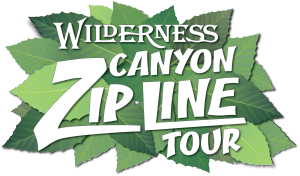 Wilderness Canyon Zip Line Tour